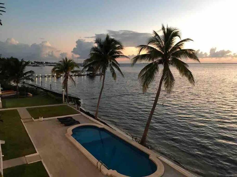 Flamingo By Andiani Travel Leilighet Cancún Eksteriør bilde
