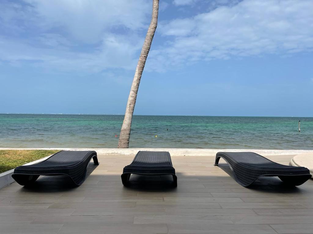 Flamingo By Andiani Travel Leilighet Cancún Eksteriør bilde