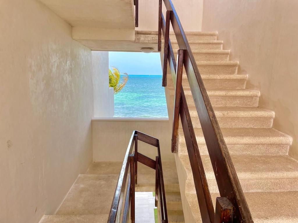Flamingo By Andiani Travel Leilighet Cancún Eksteriør bilde